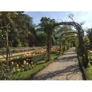 รูปถ่าย ฝรั่งเศส(France) ปารีส(Paris) บากาแตล(Bagatelles) 2017-04 21