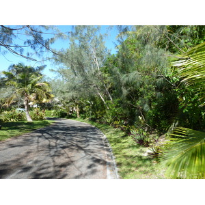 รูปถ่าย นิวแคลิโดเนีย(New Caledonia) เกาะลีฟู(Lifou) โรงแรมเดรฮูวิลเลจ(Drehu Village Hotel) 2010-05 67