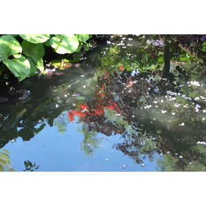 รูปถ่าย ฝรั่งเศส(France) ฌีแวร์นี(Giverny) 2013-06 109