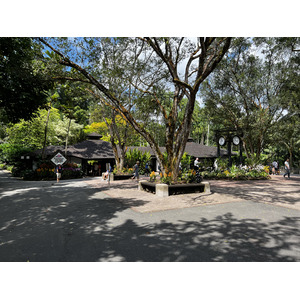 รูปถ่าย สิงคโปร์(Singapore) สวนพฤกษศาสตร์สิงคโปร์(Singapore Botanic Gardens) 2023-01 61