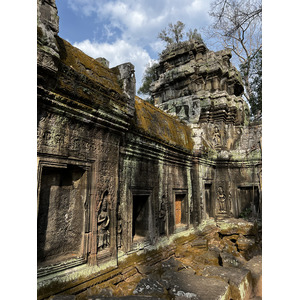 รูปถ่าย กัมพูชา(Cambodia) เสียมราฐ(Siem Reap) ปราสาทตาพรหม(Ta Prohm) 2023-01 118