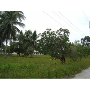 รูปถ่าย ไทย(Thailand) เขาหลัก(Khao Lak) หาดบางสัก(Bang Sak Beach) 2005-12 12