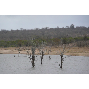 รูปถ่าย แอฟริกาใต้(South Africa) อุทยานแห่งชาติครูเกอร์(Kruger National Park) มปอนโด(Mpondo) 2008-09 2