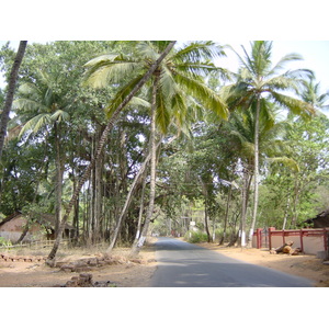 รูปถ่าย อินเดีย(India) กัว(Goa) 2003-05 13