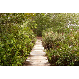 รูปถ่าย เซเชลส์(Seychelles) เกาะกูรีเยิซ(Curieuse) 2011-10 53