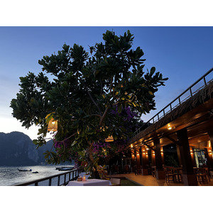 รูปถ่าย ไทย(Thailand) เกาะพีพีดอน(Ko Phi Phi Don) 2021-12 115