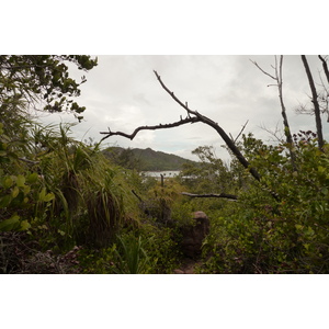 รูปถ่าย เซเชลส์(Seychelles) เกาะกูรีเยิซ(Curieuse) 2011-10 9