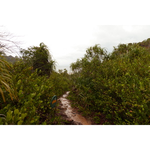 รูปถ่าย เซเชลส์(Seychelles) เกาะกูรีเยิซ(Curieuse) 2011-10 1