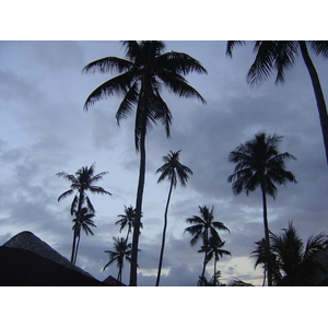 รูปถ่าย เฟรนช์โพลี่นีเซีย(Polynesia) มูเรีย(Moorea) โรงแรมเพิร์ลรีสอร์ต(Pearl Resort Hotel) 2006-04 0