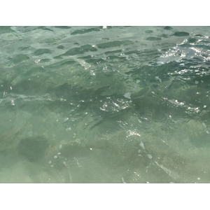 รูปถ่าย กวาเดอลูป(Guadeloupe) หาดลาการาแวล(La Caravelle Beach) 2021-02 95