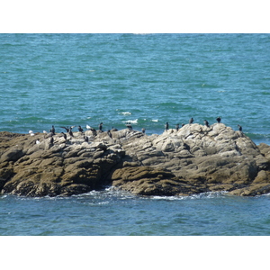 รูปถ่าย ฝรั่งเศส(France) ปีรียัก-ซูร์-แมร์(Piriac sur mer) 2009-08 18