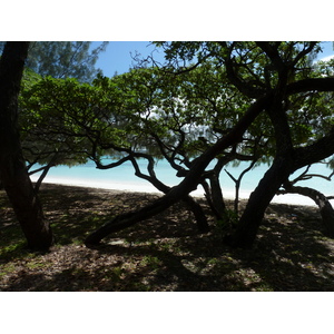 รูปถ่าย นิวแคลิโดเนีย(New Caledonia) เกาะลีฟู(Lifou) หาดลูเอ็งโกนี(Luengoni Beach) 2010-05 33