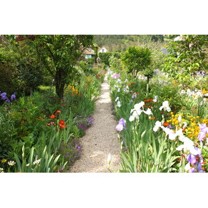 รูปถ่าย ฝรั่งเศส(France) ฌีแวร์นี(Giverny) 2013-06 210
