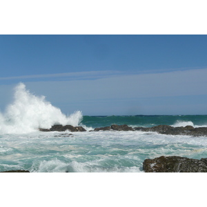รูปถ่าย แอฟริกาใต้(South Africa) อุทยานแห่งชาติซิตซิคัมมา(Tsitsikamma National Park) 2008-09 156
