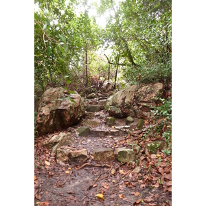 รูปถ่าย เซเชลส์(Seychelles) เกาะกูรีเยิซ(Curieuse) 2011-10 55