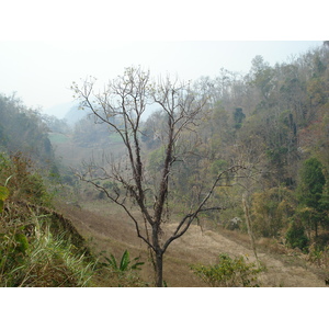รูปถ่าย ไทย(Thailand) ถนนจากปางมะผ้าไปปาย(Pang Mapha to Pai road) 2007-02 8