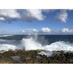 รูปถ่าย กวาเดอลูป(Guadeloupe) แหลมคาสเซิลพอยต์(Castle Point) 2021-02 166