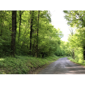 รูปถ่าย ฝรั่งเศส(France) ฟลัวรัก(Floirac) 2018-04 90