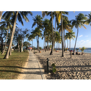 รูปถ่าย กวาเดอลูป(Guadeloupe) หาดลาการาแวล(La Caravelle Beach) 2021-02 129