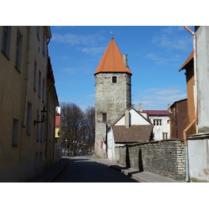 รูปถ่าย เอสโตเนีย(Estonia) ทาลลินน์(Tallinn) 2009-04 24