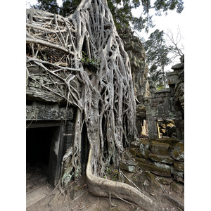 รูปถ่าย กัมพูชา(Cambodia) เสียมราฐ(Siem Reap) ปราสาทตาพรหม(Ta Prohm) 2023-01 9