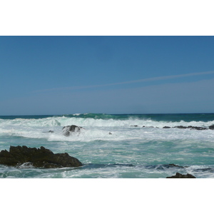 รูปถ่าย แอฟริกาใต้(South Africa) อุทยานแห่งชาติซิตซิคัมมา(Tsitsikamma National Park) 2008-09 181