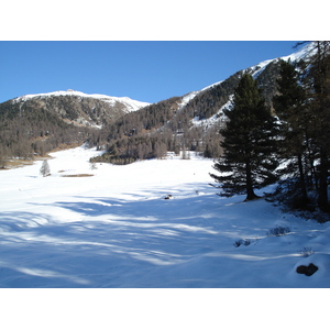 รูปถ่าย สวิสเซอร์แลนด์(Switzerland) ปองเทรซีน่า(Pontresina) 2007-01 174