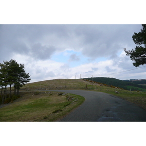 รูปถ่าย ฝรั่งเศส(France) โอบรัก(L'Aubrac) 2008-04 114