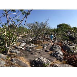 รูปถ่าย ไทย(Thailand) อุทยานแห่งชาติภูหินร่องกล้า(Phu Hin Rong Kla National Park) 2014-12 254