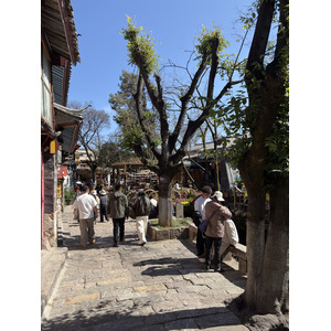 รูปถ่าย จีน(China) ลี่เจียง(Lijiang) 2026-01 410