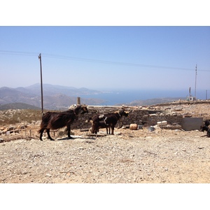 รูปถ่าย กรีก(Greece) เกาะอามอร์กอส(Amorgos) 2014-07 309