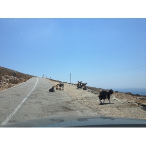 รูปถ่าย กรีก(Greece) เกาะอามอร์กอส(Amorgos) 2014-07 227