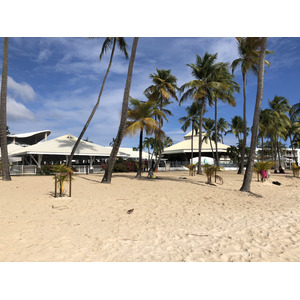 รูปถ่าย กวาเดอลูป(Guadeloupe) หาดลาการาแวล(La Caravelle Beach) 2021-02 39