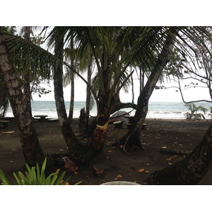 รูปถ่าย คอสตาริกา(Costa Rica) ปวยร์โตเบียโฆเดตาลามังกา(Puerto Viejo de Talamanca) 2015-03 76
