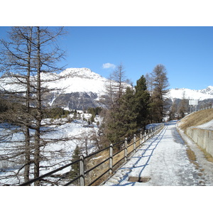 รูปถ่าย สวิสเซอร์แลนด์(Switzerland) ปองเทรซีน่า(Pontresina) 2007-01 126
