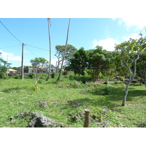 รูปถ่าย นิวแคลิโดเนีย(New Caledonia) เกาะลีฟู(Lifou) 2010-05 18