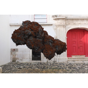 รูปถ่าย โปรตุเกส(Portugal) ลิสบอน(Lisbon) 2013-01 335