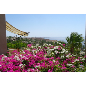 รูปถ่าย อียิปต์(Egypt) ชาร์มเอลชีค(Sharm el Sheikh) โรงแรมโฟร์ซีซันส์(Four Seasons Hotel) 2008-06 46