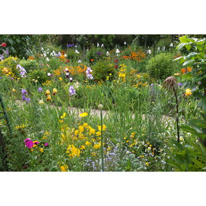 รูปถ่าย ฝรั่งเศส(France) ฌีแวร์นี(Giverny) 2013-06 89