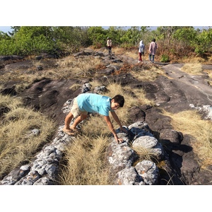รูปถ่าย ไทย(Thailand) อุทยานแห่งชาติภูหินร่องกล้า(Phu Hin Rong Kla National Park) 2014-12 148