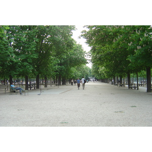 รูปถ่าย ฝรั่งเศส(France) ปารีส(Paris) สวนลักเซมเบิร์ก(Luxembourg Garden) 2007-04 87