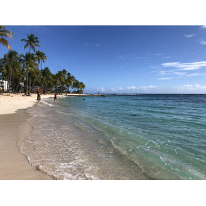 รูปถ่าย กวาเดอลูป(Guadeloupe) หาดลาการาแวล(La Caravelle Beach) 2021-02 74