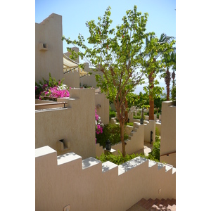รูปถ่าย อียิปต์(Egypt) ชาร์มเอลชีค(Sharm el Sheikh) โรงแรมโฟร์ซีซันส์(Four Seasons Hotel) 2008-06 45