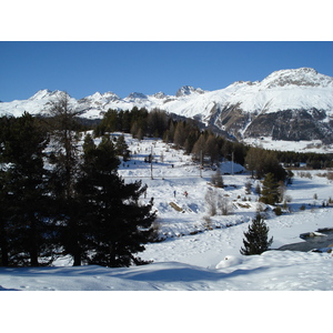 รูปถ่าย สวิสเซอร์แลนด์(Switzerland) ปองเทรซีน่า(Pontresina) 2007-01 158