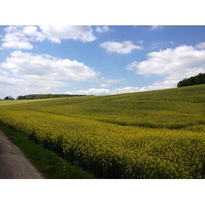 รูปถ่าย ฝรั่งเศส(France) ลียงส์-ลา-ฟอแร(Lyons La Foret) 2014-05 33