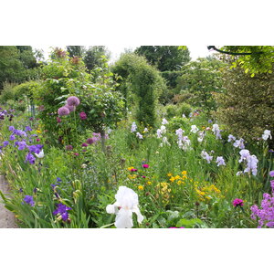 รูปถ่าย ฝรั่งเศส(France) ฌีแวร์นี(Giverny) 2013-06 7
