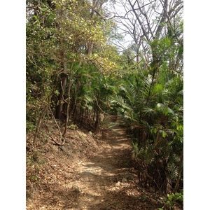 รูปถ่าย คอสตาริกา(Costa Rica) มอนเตซูมา(Montezuma) 2015-03 133