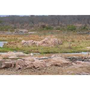 รูปถ่าย แอฟริกาใต้(South Africa) อุทยานแห่งชาติครูเกอร์(Kruger National Park) แม่น้ำครอกโคไดล์(Crocodile River) 2008-09 52