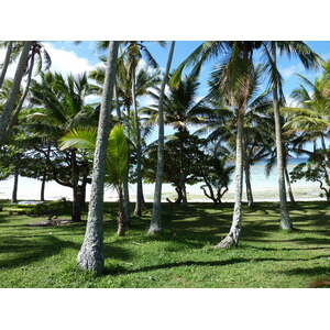รูปถ่าย นิวแคลิโดเนีย(New Caledonia) เกาะลีฟู(Lifou) 2010-05 8