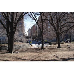 รูปถ่าย สหรัฐอเมริกา(United States) นิวยอร์ก(New York) เซ็นทรัลพาร์ก(Central Park) 2006-03 3